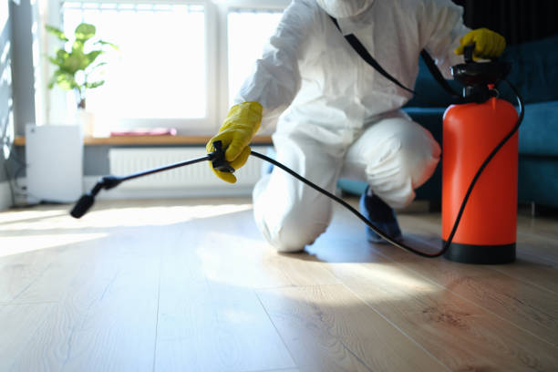 Reliable Infectious Disease Decontamination contractor in Talmo, GA by Trauma Clean Pros